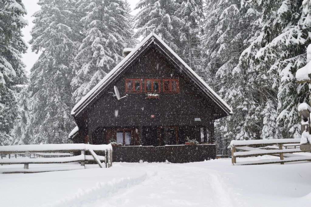 Koča Chalet Pokljuka med sneženjem, obdana z zasneženimi smrekami