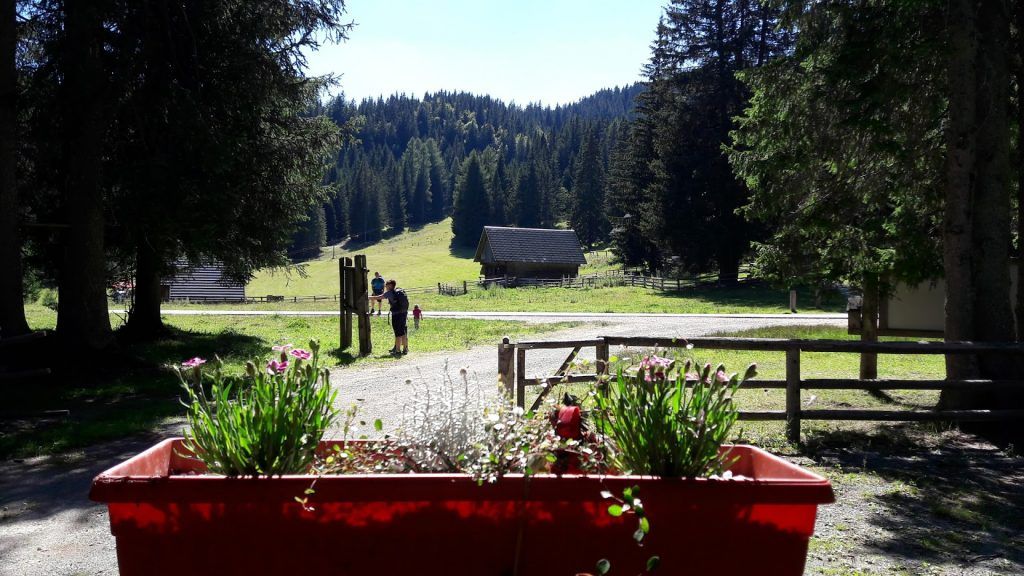 Cvetlično korito v ospredju, za njim pohodniki na makadamski poti in koča na travniku