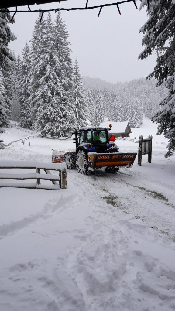 13. Januar – sneg - 2